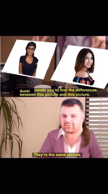  - Sezonul 5 insula iubirii - memes 1