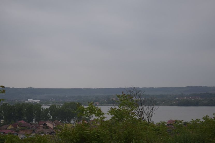_DSC1499 - TRANDAFIRI PRIMAVARA 2019