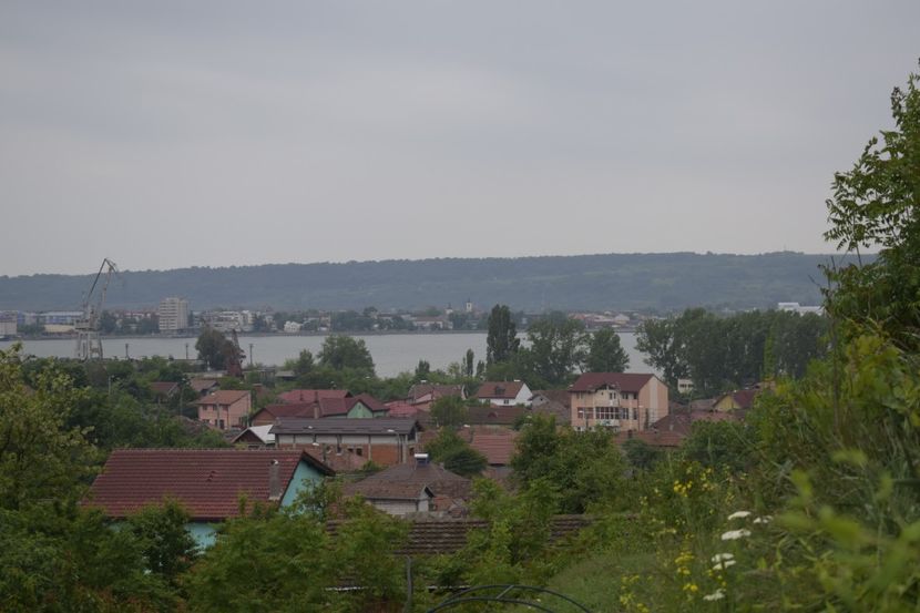 _DSC1500 - TRANDAFIRI PRIMAVARA 2019