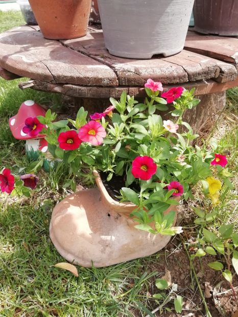 21.05 - gradina 2019