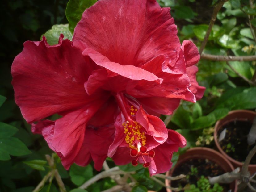 21.05.2019 - New Idea