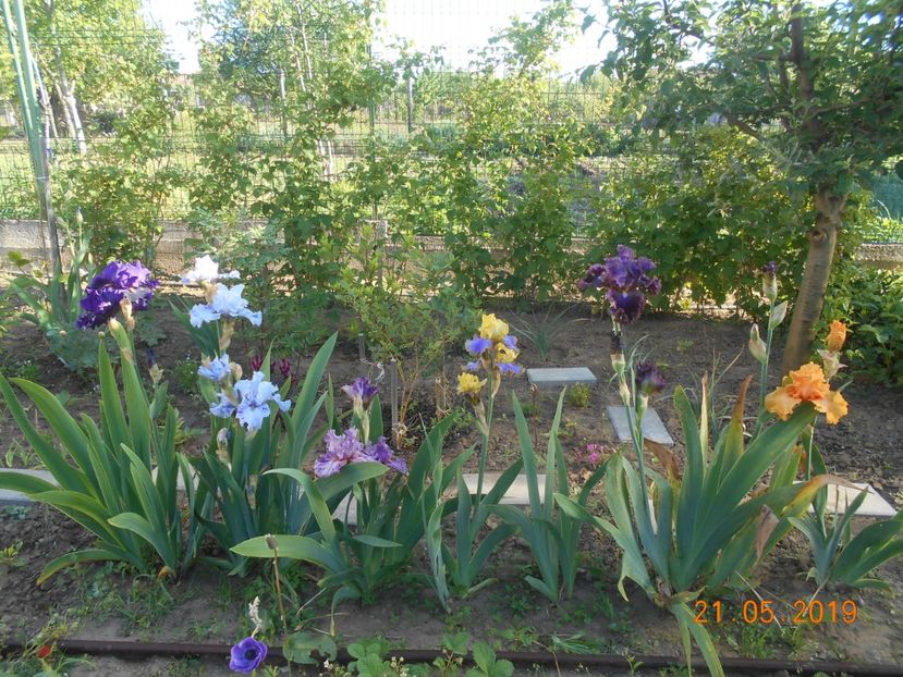  - 2-21Mai 2019