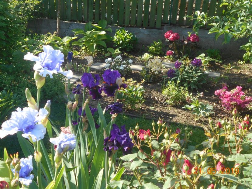  - 2-21Mai 2019