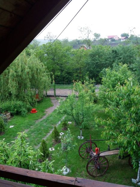  - Primavara in curte 2019