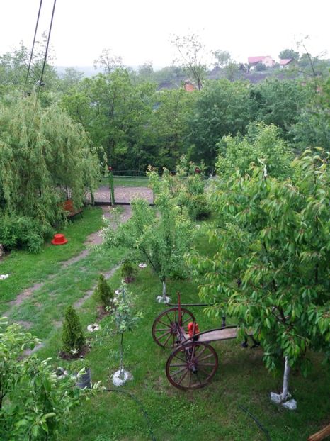  - Primavara in curte 2019