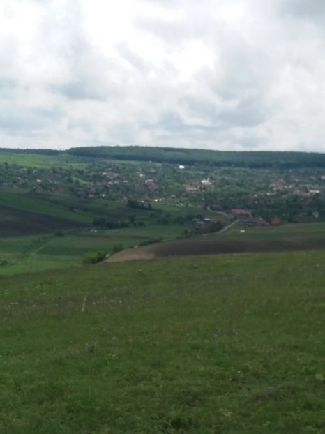  - Primavara in curte 2019