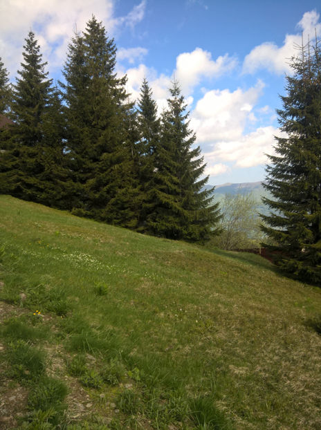  - Schitul Straja