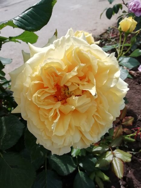 2019-22.05 - China girl