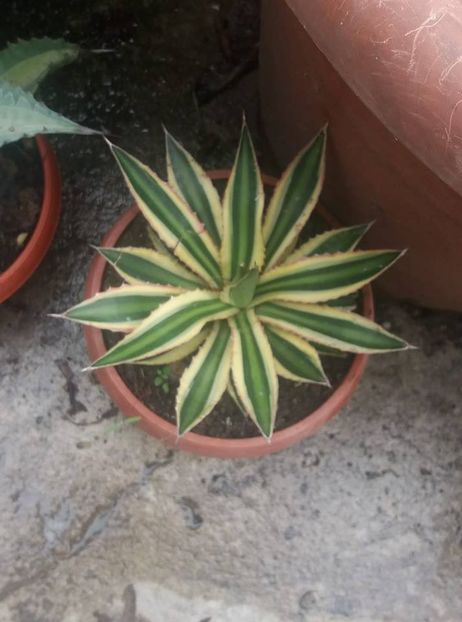  - mai 2019