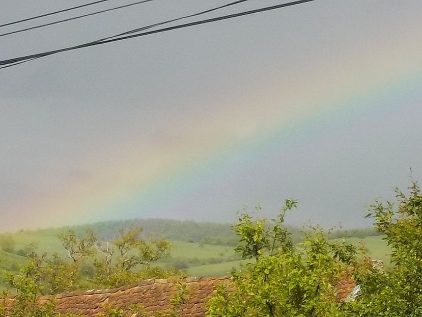  - curcubeu