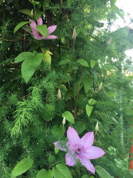 6CFC15EA-3359-46B9-B3F6-3C4B842F6D17 - Mai 2019