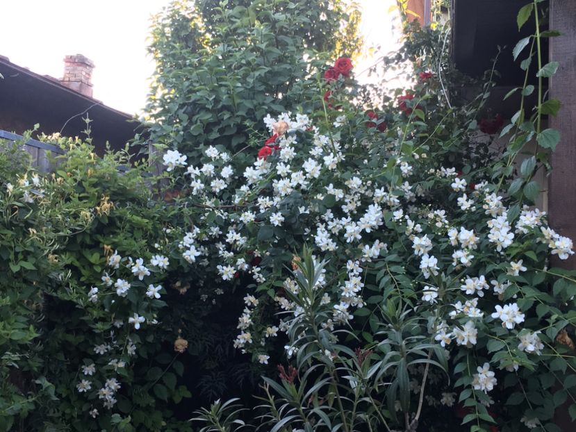 FBA91E81-0CBB-4AB1-A093-8692D8499901 - Mai 2019