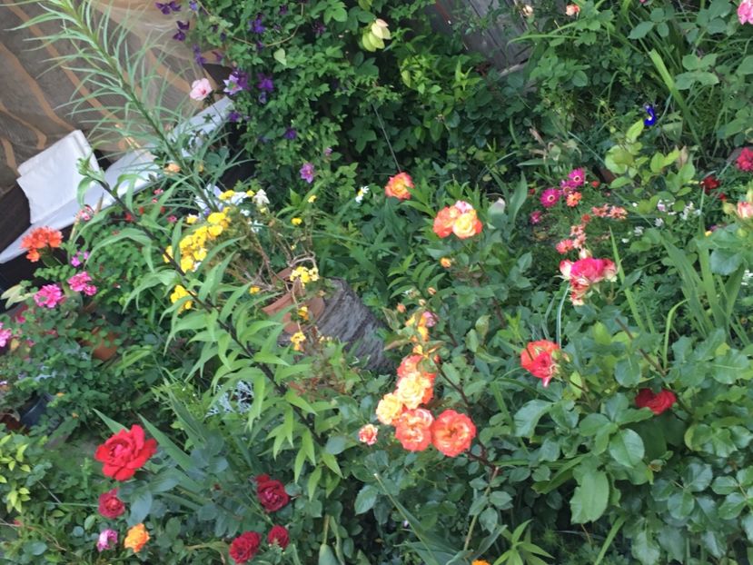 68F063EC-20DC-416F-8D73-C06FAC92AFD1 - Mai 2019