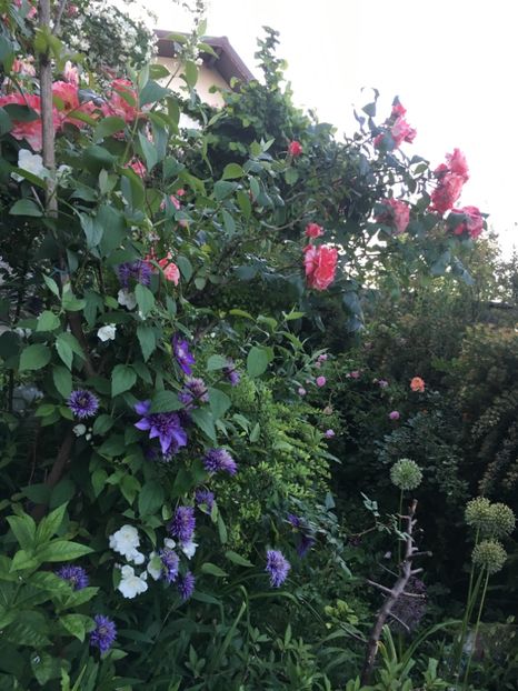 A1DE0472-9603-44F0-B03A-3FE31E7F1CAD - Mai 2019