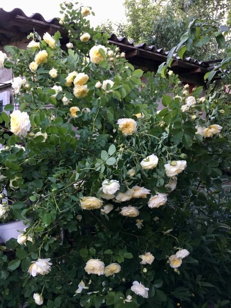 9FC95818-E8A1-4C82-AC7E-8A4DFBC8C8E6 - Mai 2019