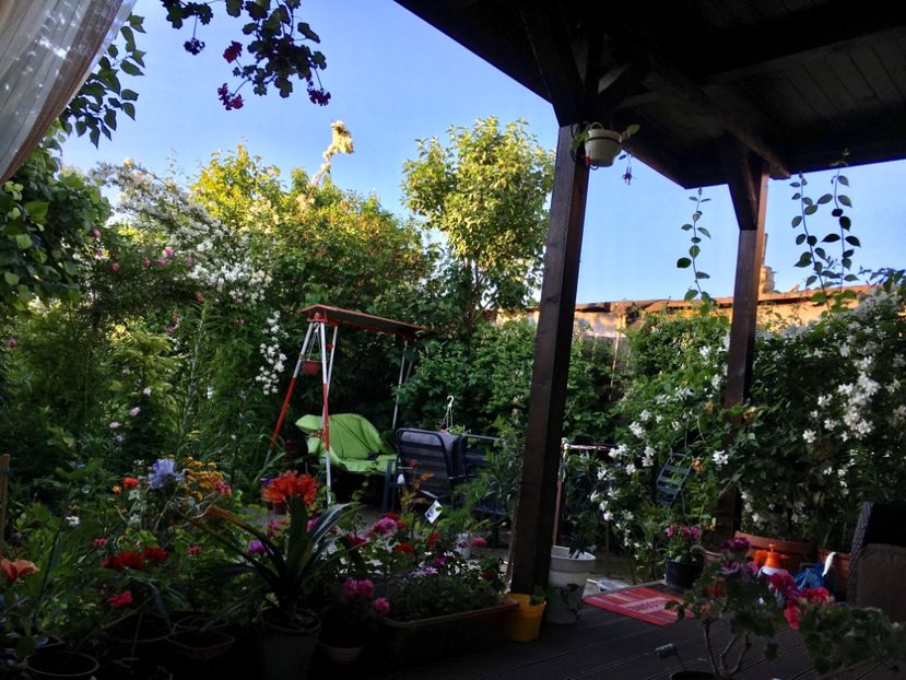 2276B498-33F7-4D1A-9ECA-05F91459A682 - Mai 2019