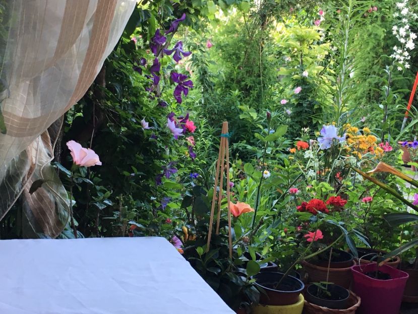 6D6FBBF4-FD75-4553-9111-22446C286DE2 - Mai 2019