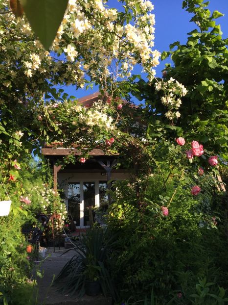 BD8A542D-8F05-41B0-97C8-A501180C77BD - Mai 2019