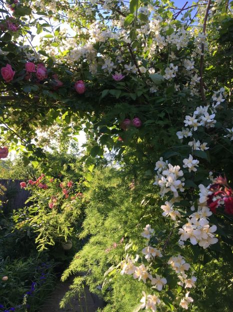 E59F5530-450B-46B1-B910-A00D89ECEE52 - Mai 2019