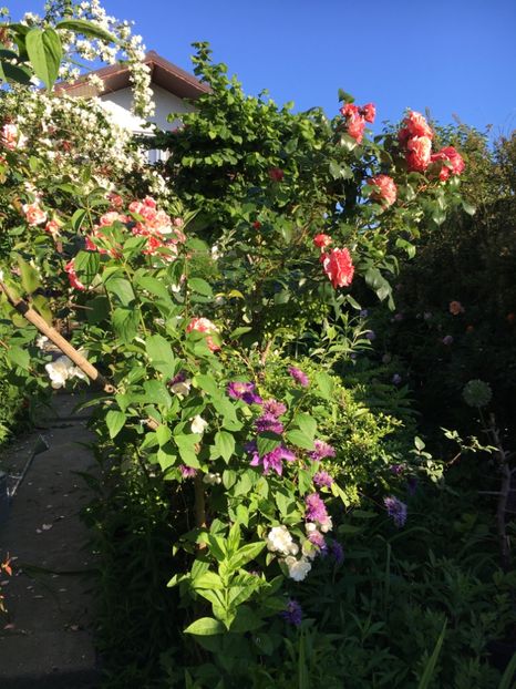 CDC2BBE8-580B-4678-A423-0B8CB8F816DE - Mai 2019