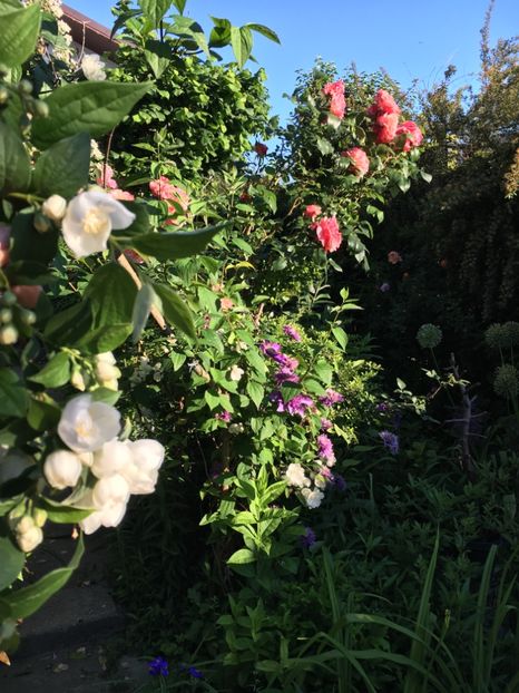 89AD450E-FE92-4516-A81B-D307460F3679 - Mai 2019