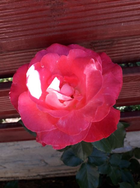  - MAi 2019