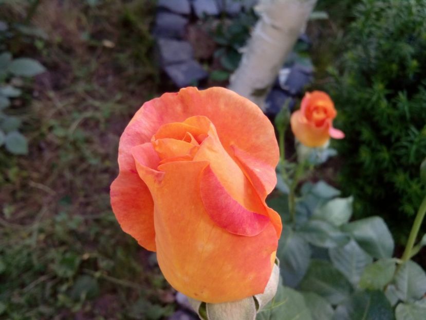  - Remy Martin- Cel mai frumos!