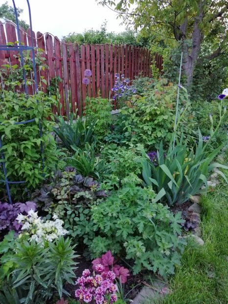  - 000 2019 din gradina