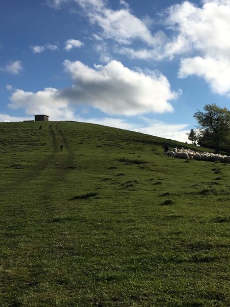 Ojdula-Covasna - 11-Alt hobby