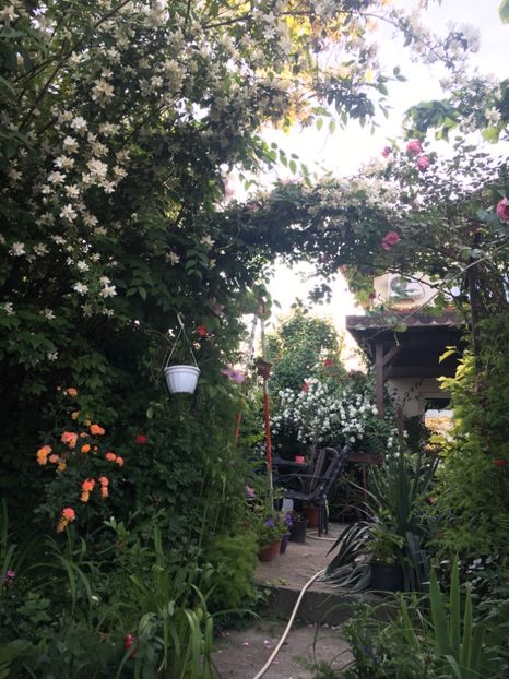 E1760273-40CD-48A8-9C32-7EF907BFBA37 - Mai 2019