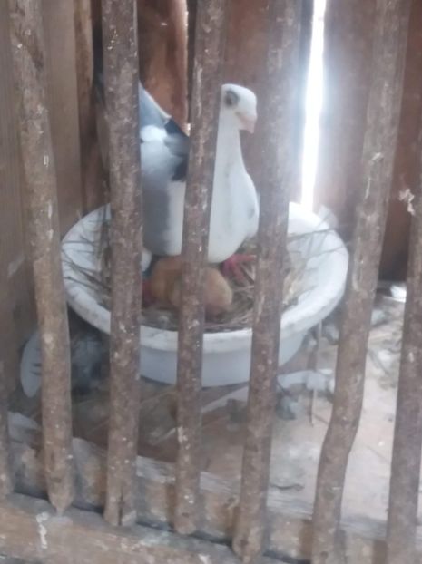 received_524284628107021 - -Pui 2019