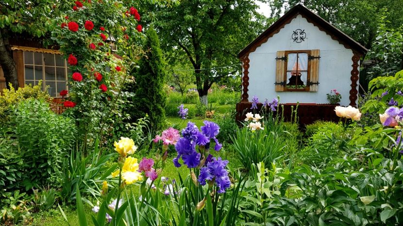  - 2019 Gradina Pridvor