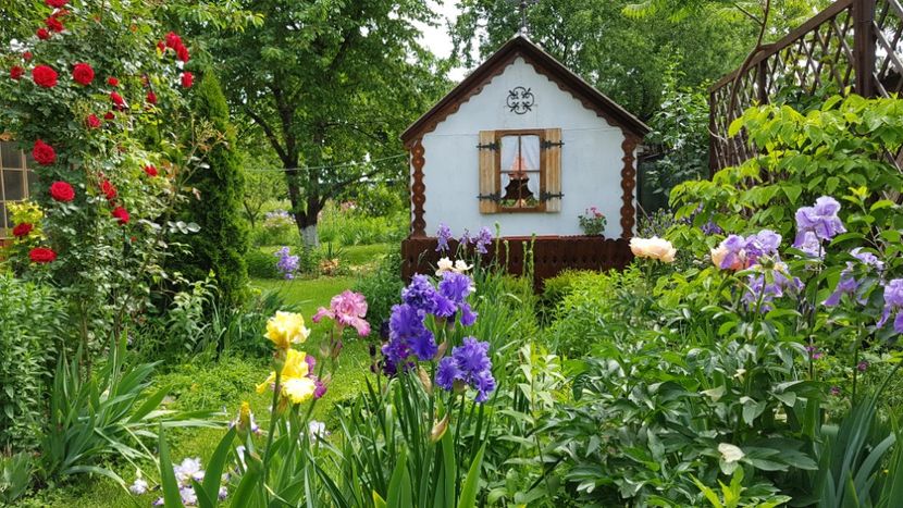 - 2019 Gradina Pridvor