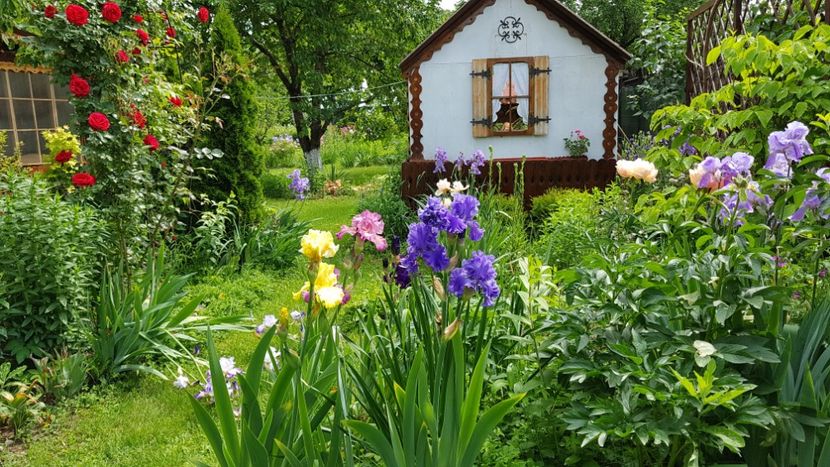  - 2019 Gradina Pridvor
