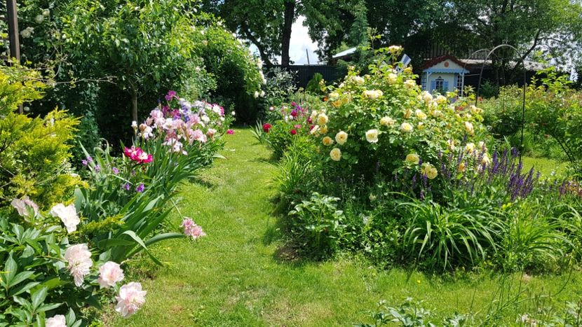  - 2019 Mai Idilic Garden