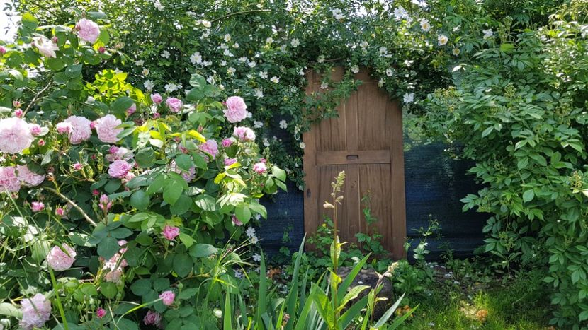  - 2019 Mai Idilic Garden