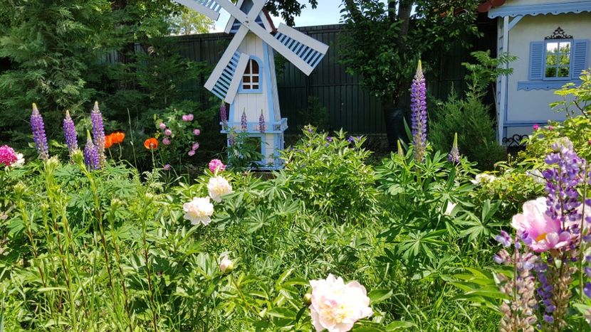  - 2019 Mai Idilic Garden