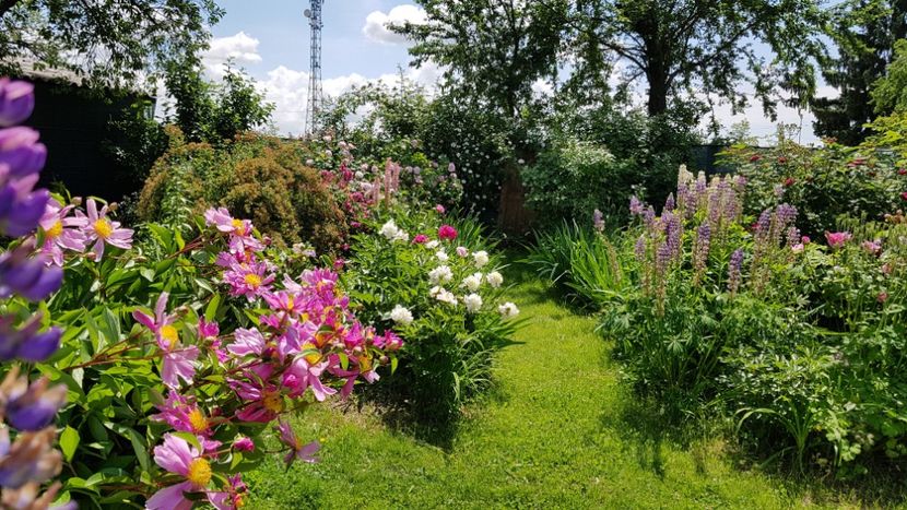  - 2019 Mai Idilic Garden
