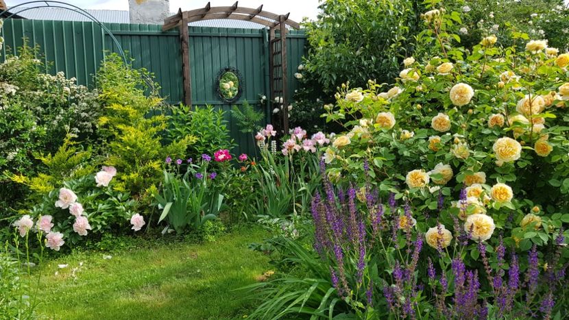  - 2019 Mai Idilic Garden