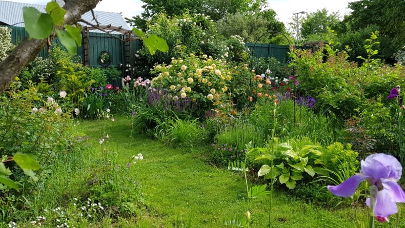  - 2019 Mai Idilic Garden