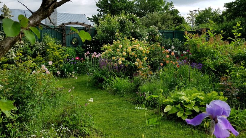  - 2019 Mai Idilic Garden