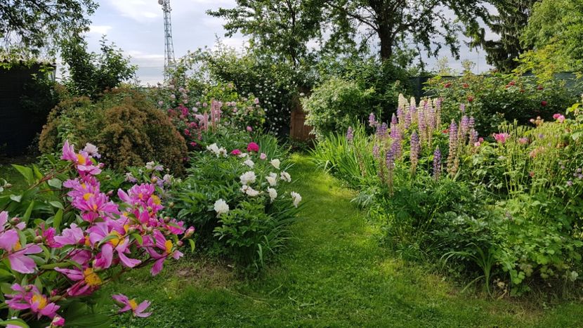  - 2019 Mai Idilic Garden