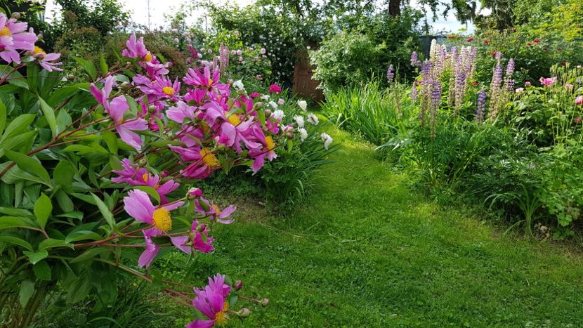  - 2019 Mai Idilic Garden