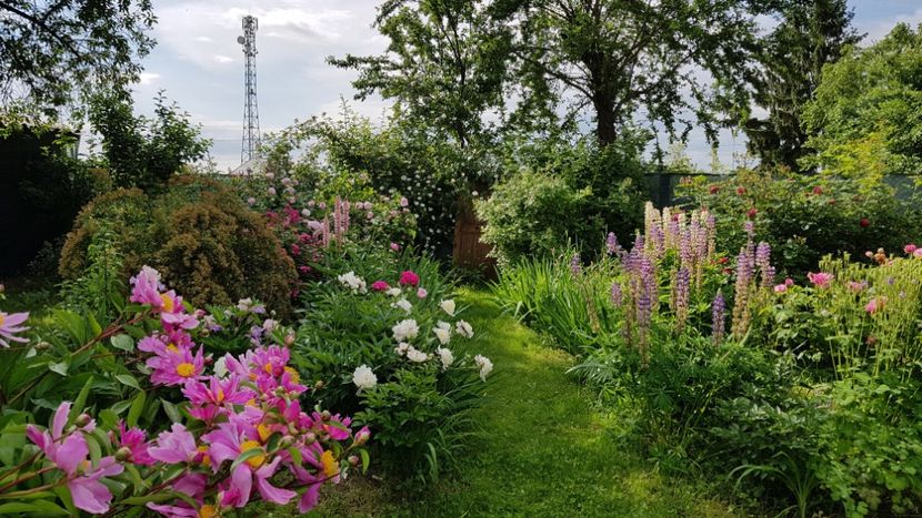  - 2019 Mai Idilic Garden