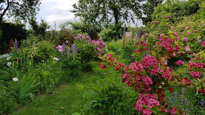  - 2019 Mai Idilic Garden