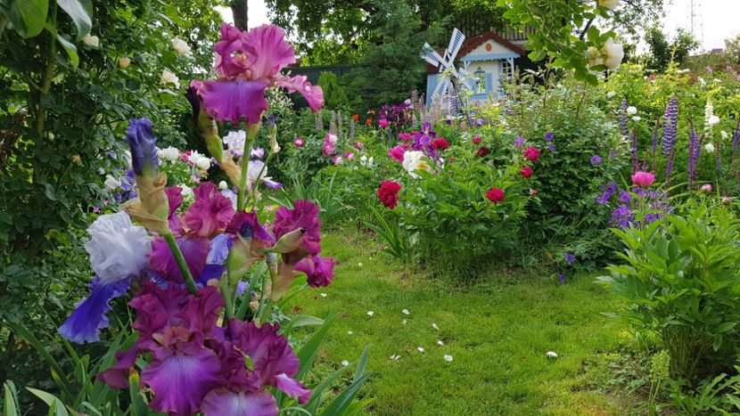  - 2019 Mai Idilic Garden