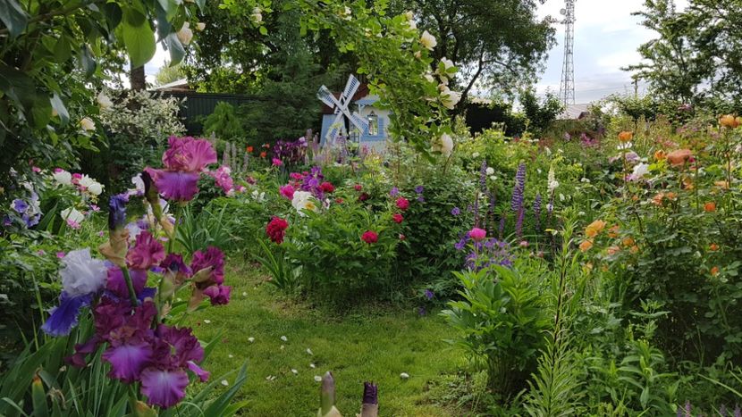  - 2019 Mai Idilic Garden