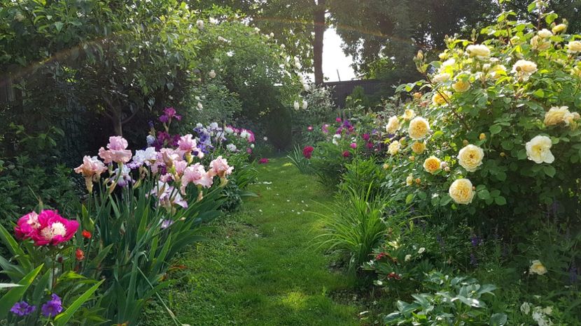  - 2019 Mai Idilic Garden