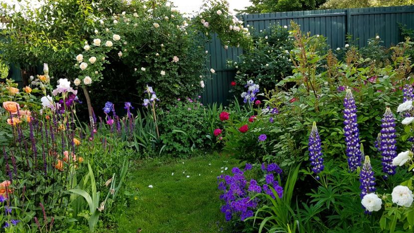  - 2019 Mai Idilic Garden