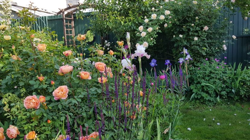  - 2019 Mai Idilic Garden